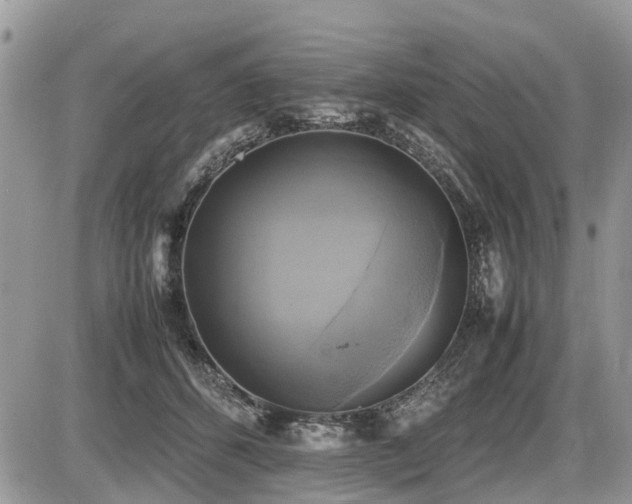 X0000086760512200704131119