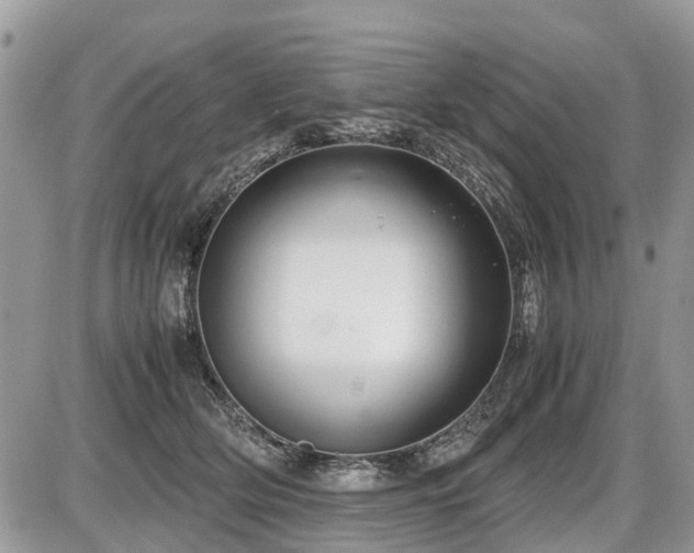 X0000086760514200704131119