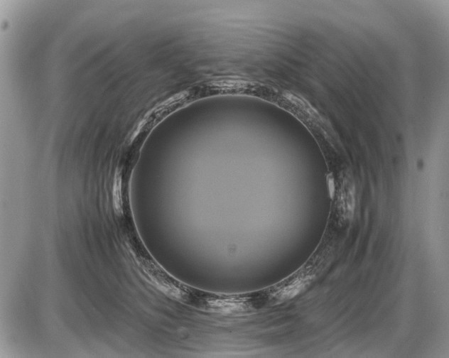X0000086760516200704131119