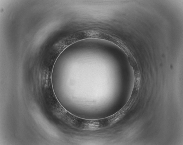 X0000086760525200704131119