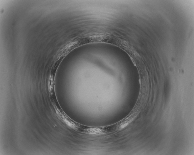 X0000086760528200704131119