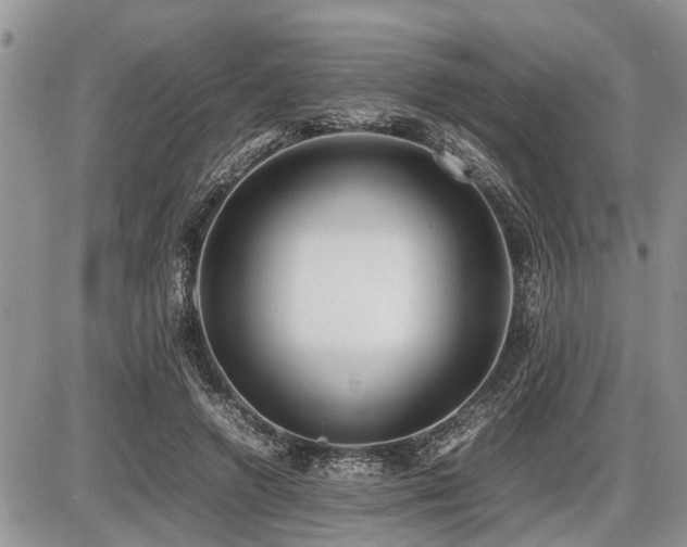 X0000086760546200704131118
