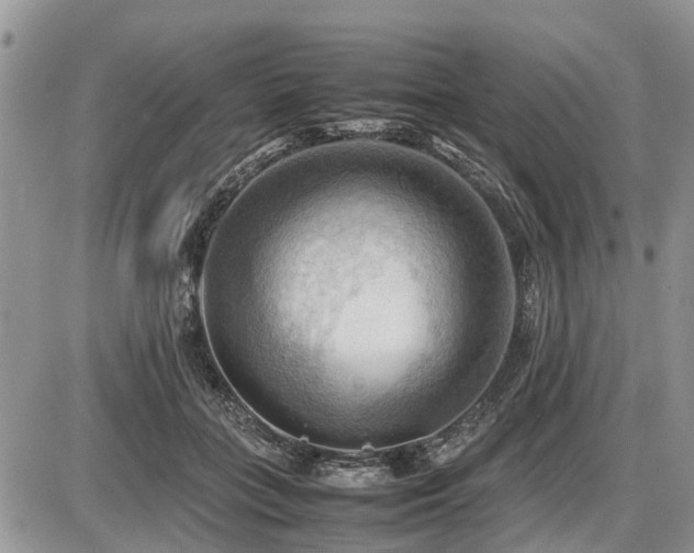 X0000086760555200704131118