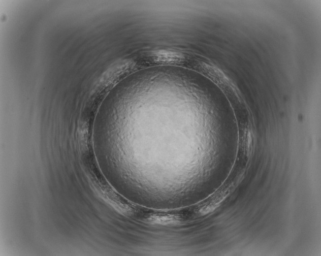 X0000086760557200704131118