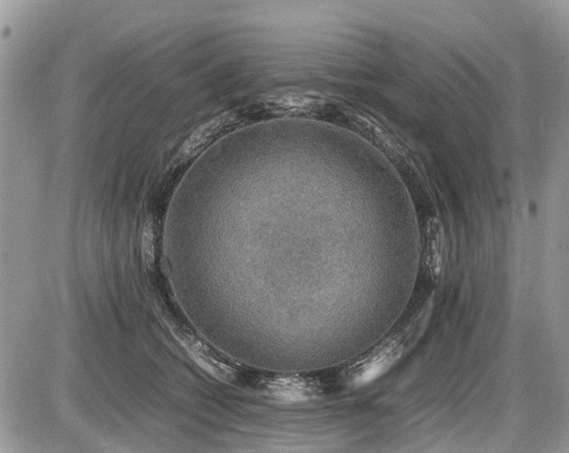 X0000086760562200704131119