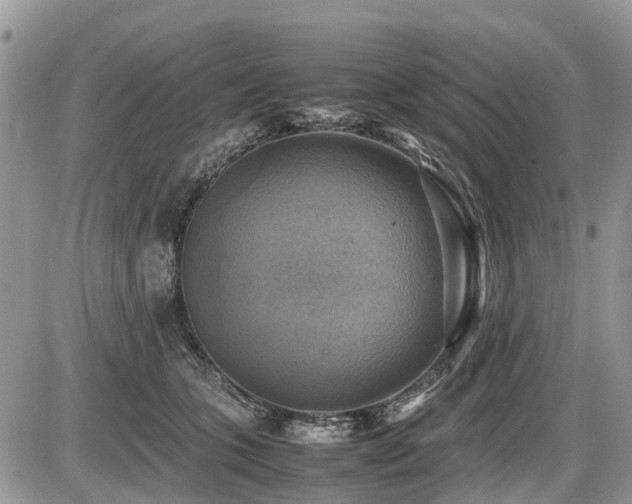 X0000086760563200704131119