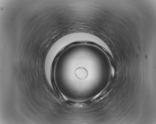 X0000086760566200704131119