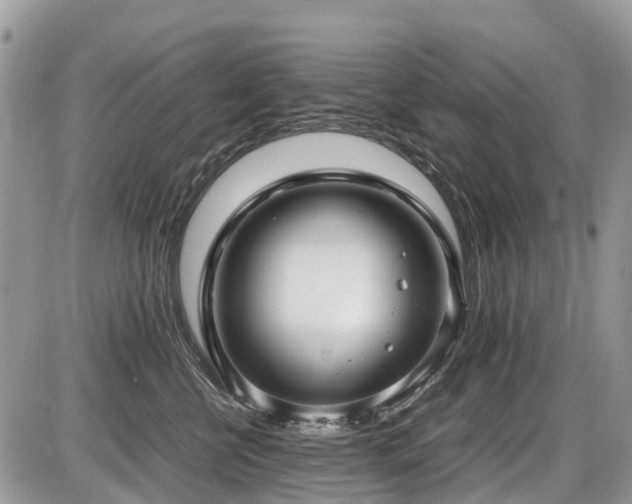 X0000086760570200704131119