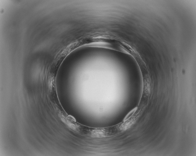 X0000086760574200704131119