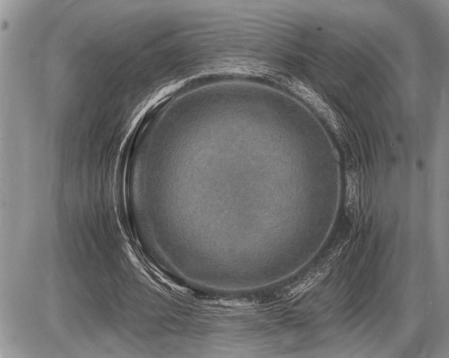X0000086760580200704131118