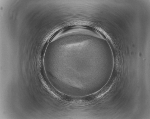 X0000086760581200704131118