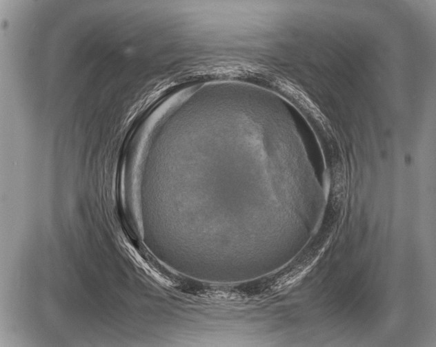 X0000086760585200704131118
