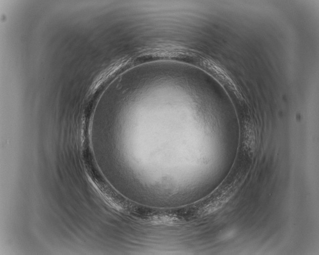 X0000086760586200704131118