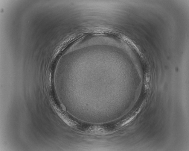 X0000086760589200704131118