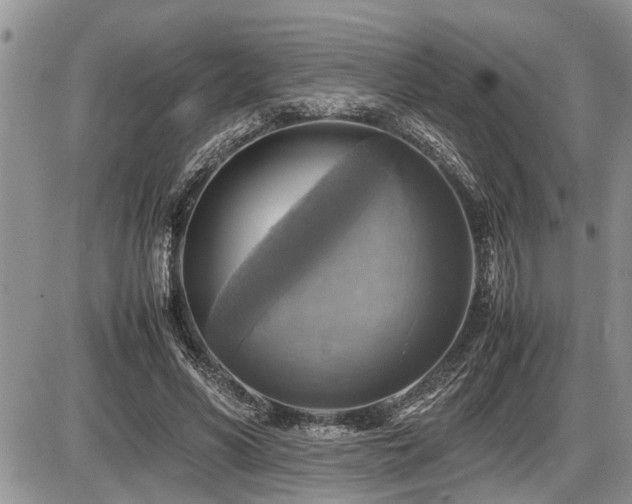 X0000086760590200704131118