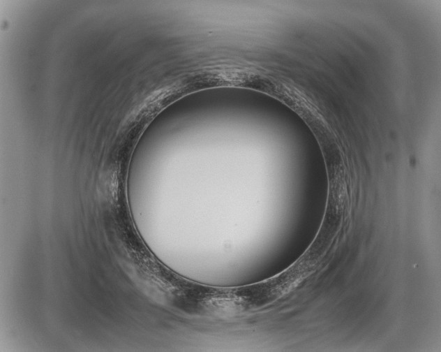 X0000086760595200704131118