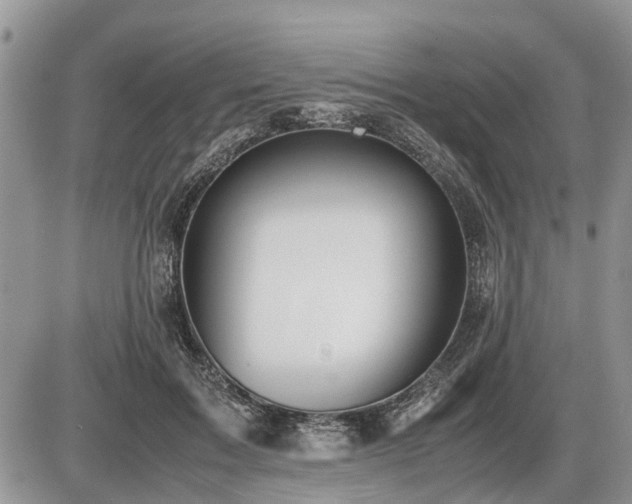 X0000086760603200704131118