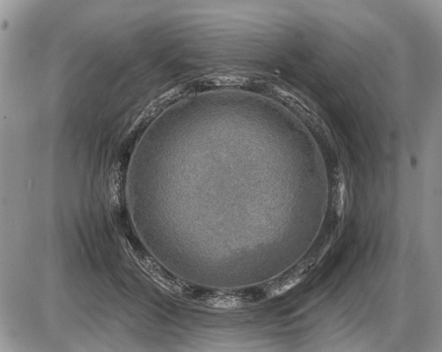 X0000086760604200704131118