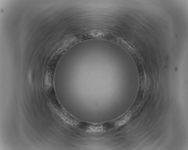 X0000086760606200704131117