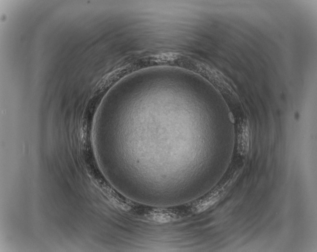 X0000086760608200704131117