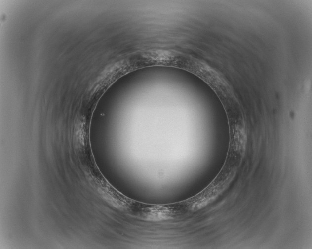 X0000086760612200704131117