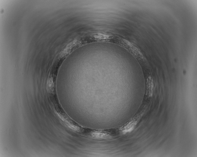 X0000086760614200704131117
