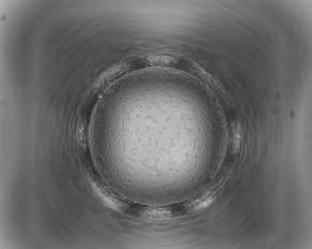 X0000086760619200704131117