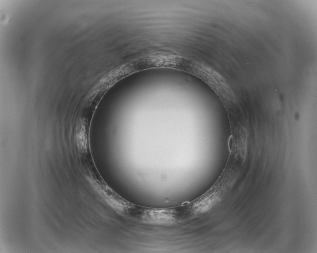 X0000086760622200704131117