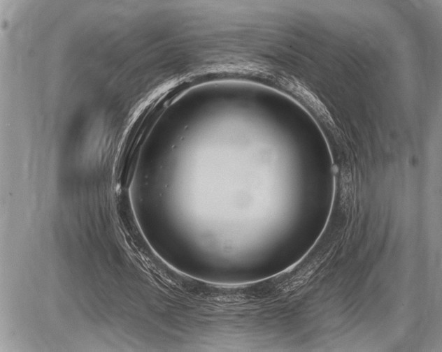 X0000086760628200704131116