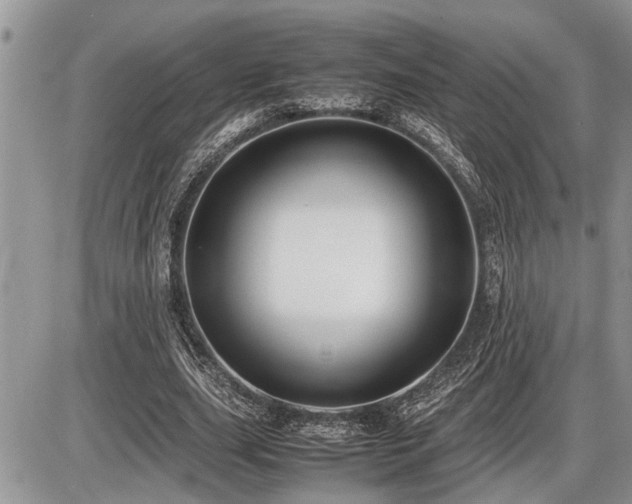 X0000086760631200704131116