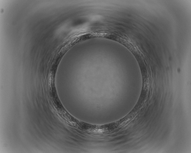 X0000086760647200704131117