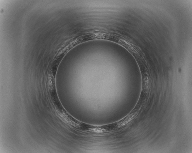 X0000086760654200704131117