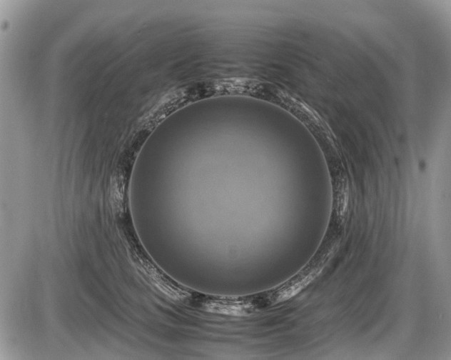X0000086760661200704131117
