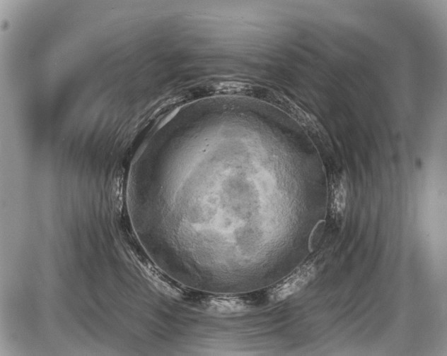 X0000086760666200704131117