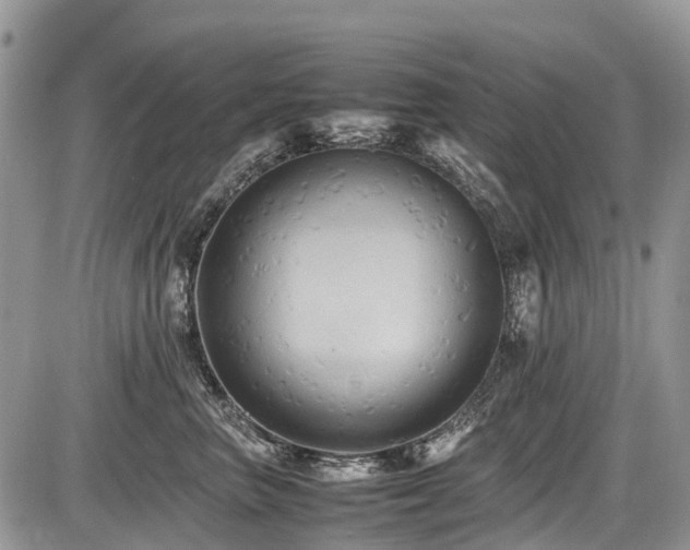 X0000086760667200704131117