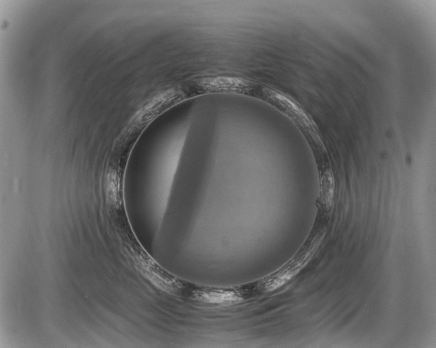 X0000086760669200704131117
