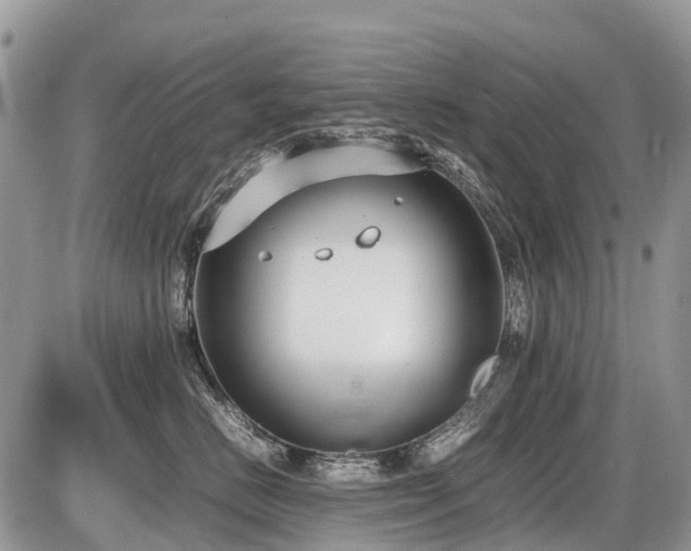 X0000086760670200704131117