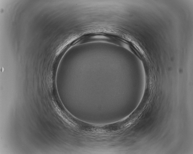 X0000086760677200704131116