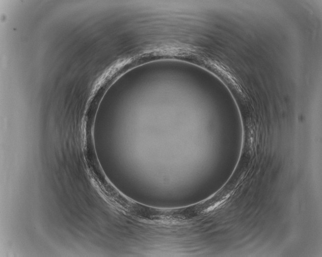 X0000086760678200704131116