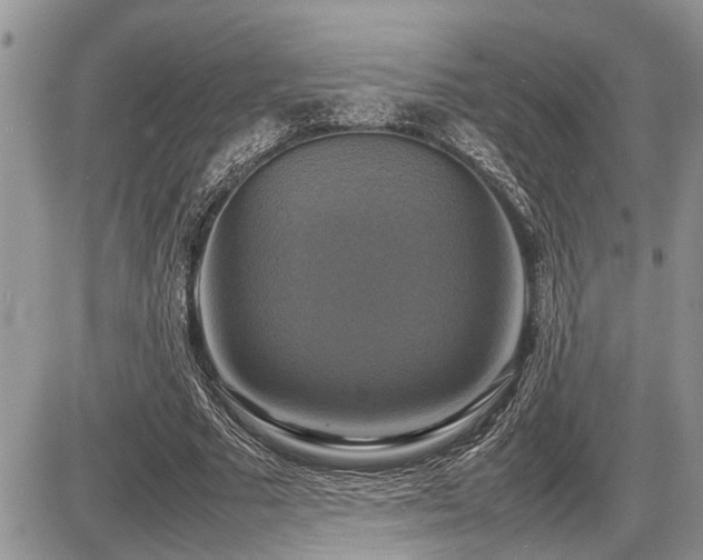 X0000086760681200704131116