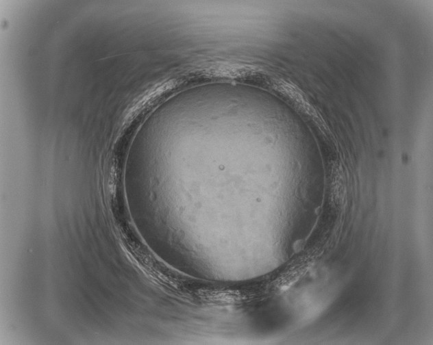 X0000086760683200704131116