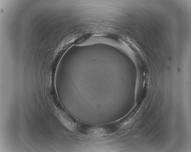 X0000086760685200704131116