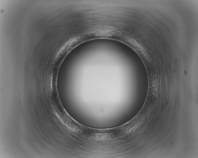 X0000086760686200704131116