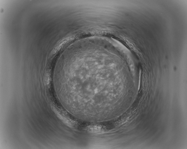 X0000086760687200704131116