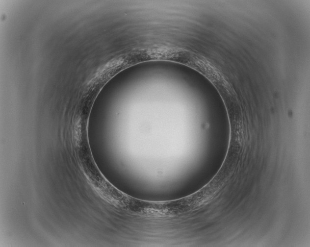 X0000086760690200704131116