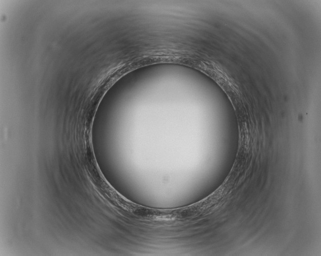 X0000086760692200704131116