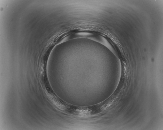X0000086760693200704131116