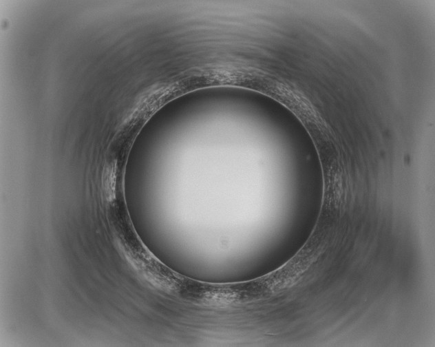 X0000086760694200704131116