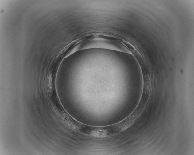 X0000086760700200704131116