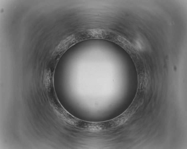 X0000086760702200704131116